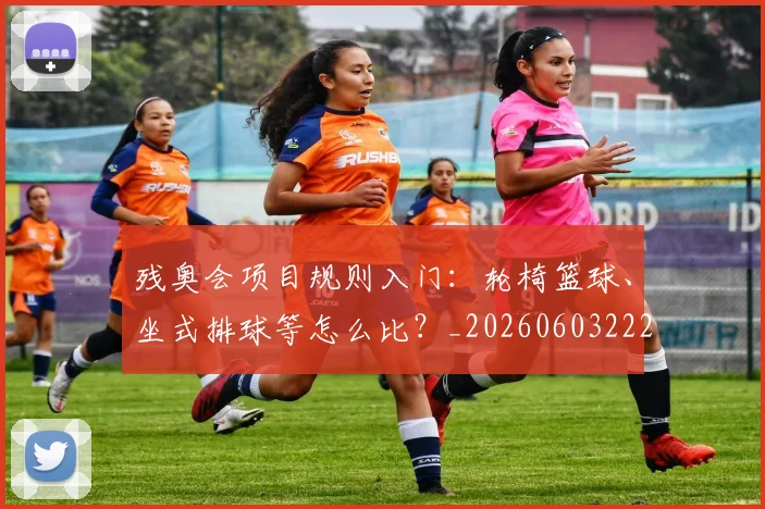 残奥会项目规则入门:轮椅篮球、坐式排球等怎么比?_20260603222626